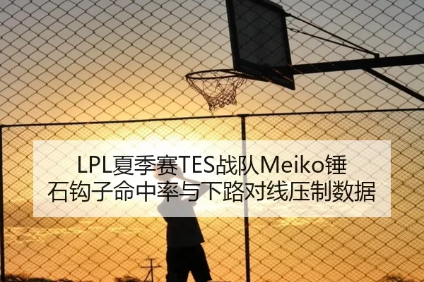 LPL夏季赛TES战队Meiko锤石钩子命中率与下路对线压制数据