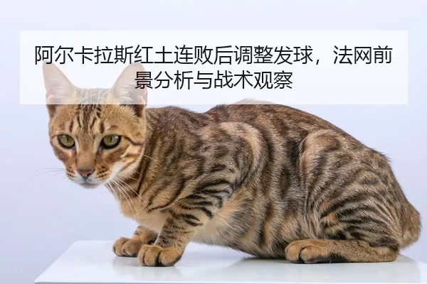 a-er-ka-la-si-hong-tu-lian-bai-hou-tiao-zheng-fa-qiu-fa-wang-qian-jing-fen-xi-yu-zhan-shu-guan-cha-2-905.jpg